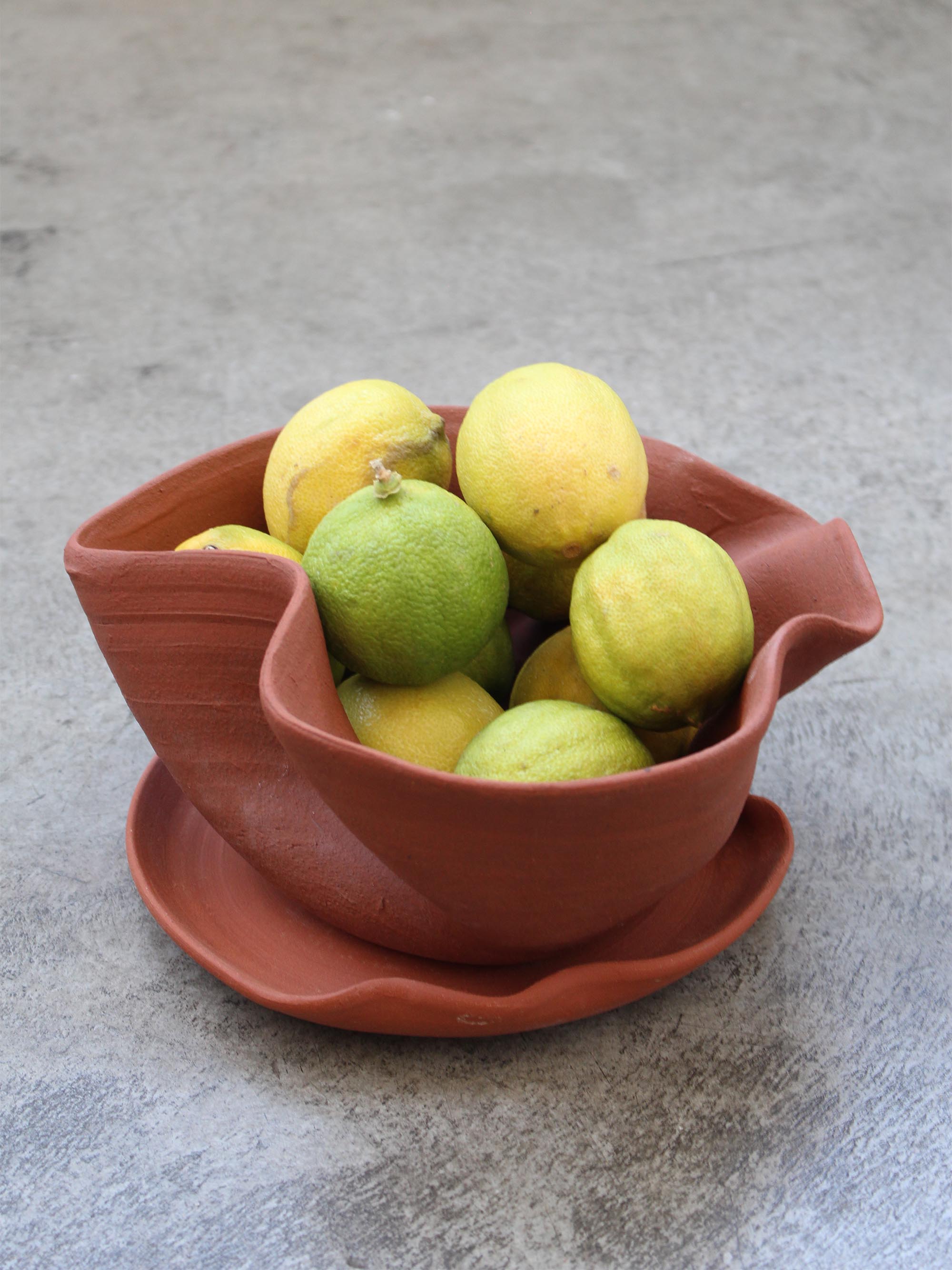 כלי קרמיקה לעציץ - חמרה